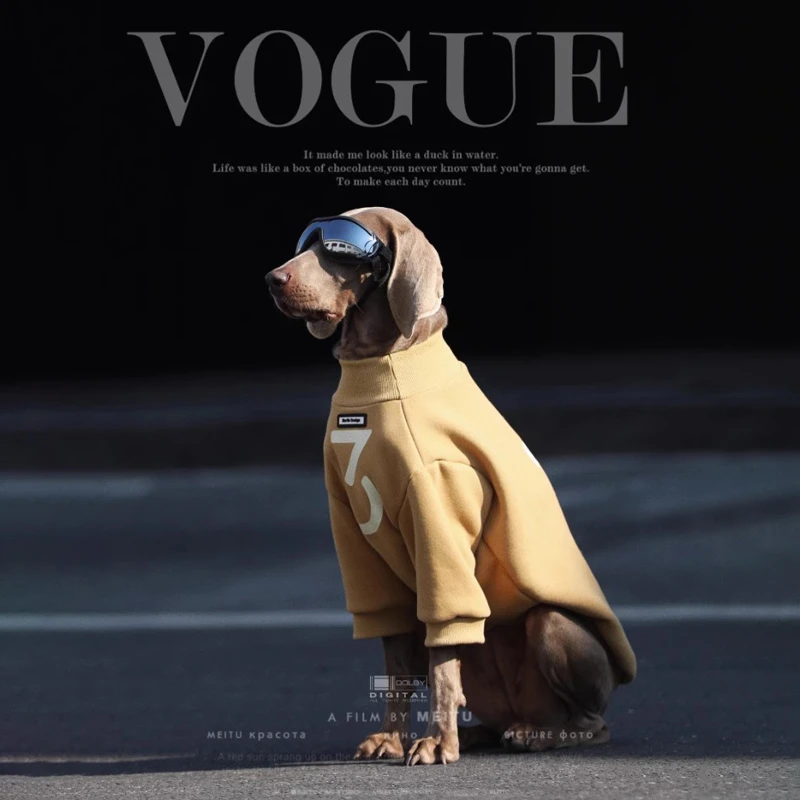 狗狗衣服大型犬拉布拉多金毛萨摩秋冬保暖加厚衣服宠物潮牌狗衣服