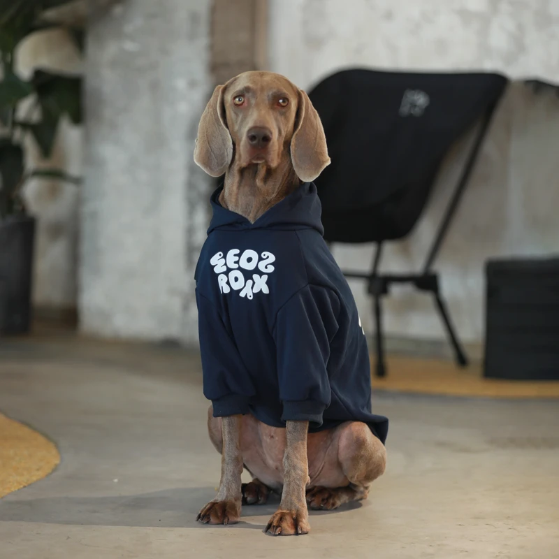 狗狗衣服秋季大型犬衣服防掉毛宠物卫衣边牧巨贵潮牌网红狗狗衣服