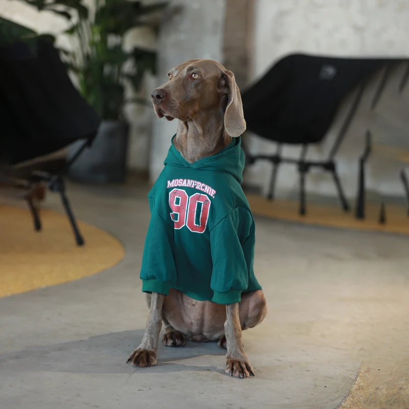 大型犬衣服秋季外出运动宠物卫衣金毛拉布拉多防掉毛网红狗狗衣服