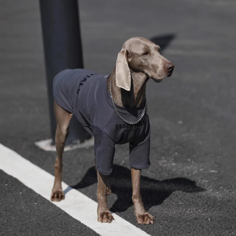 狗狗衣服夏季大型犬薄款T恤边牧金毛拉布拉多防掉毛网红狗狗衣服