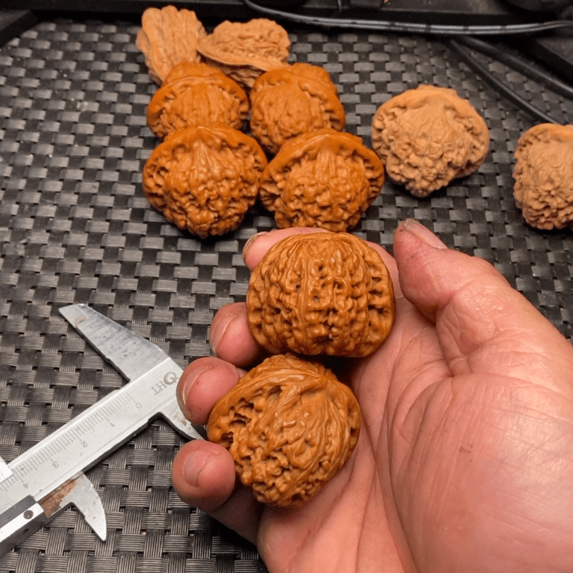 【闪购商品】文玩核桃把件蝶**虫