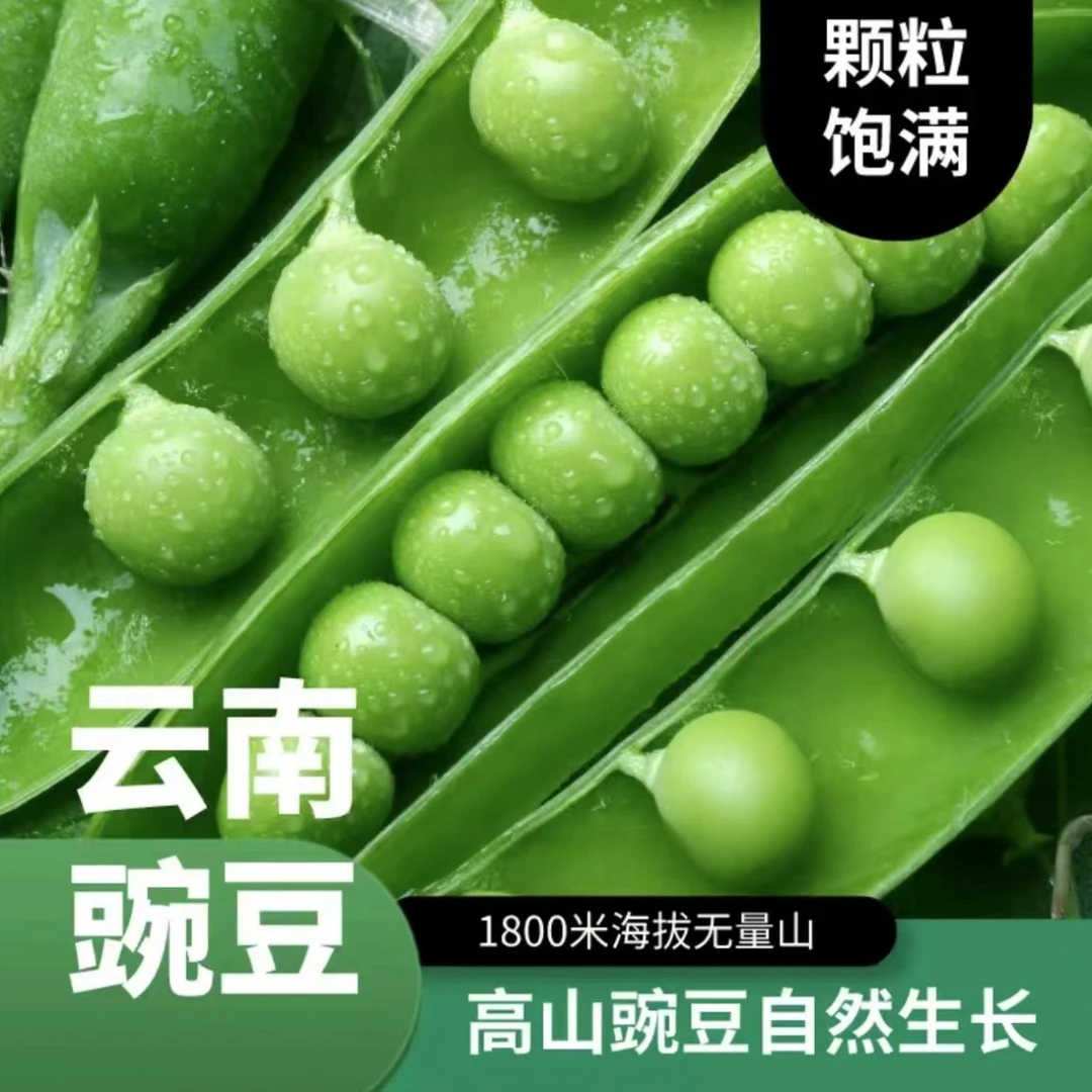 【鲜嫩现摘】云南新鲜豌豆荚绿色颗粒农家饱满甜脆3斤5斤8斤香脆
