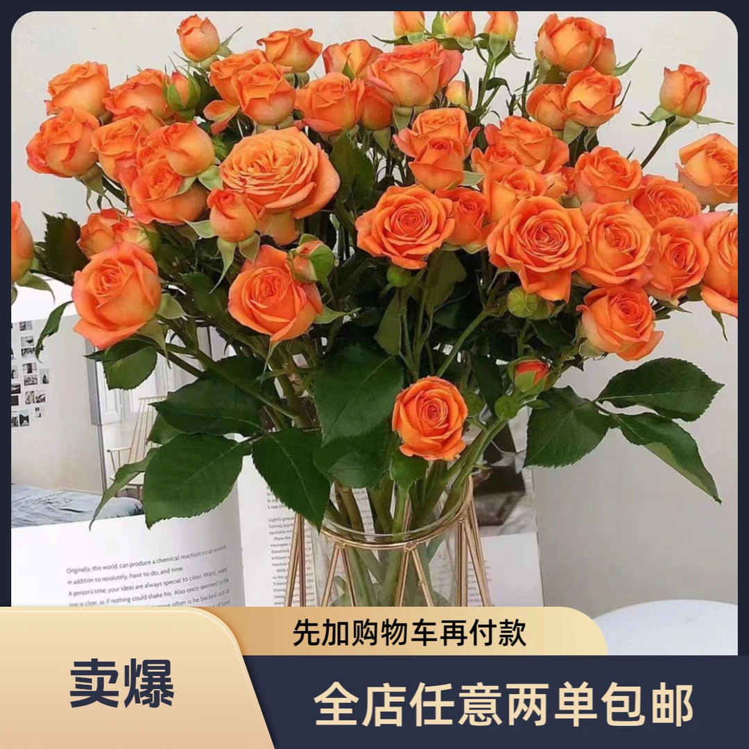 鲜花【多头橙色芭比10枝】一单不售后，任意鲜花两单包邮发顺丰冷链