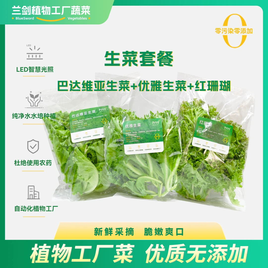 【轻食纯生菜沙拉】纯净水种植生菜1000g好吃冬季上新味道爽口