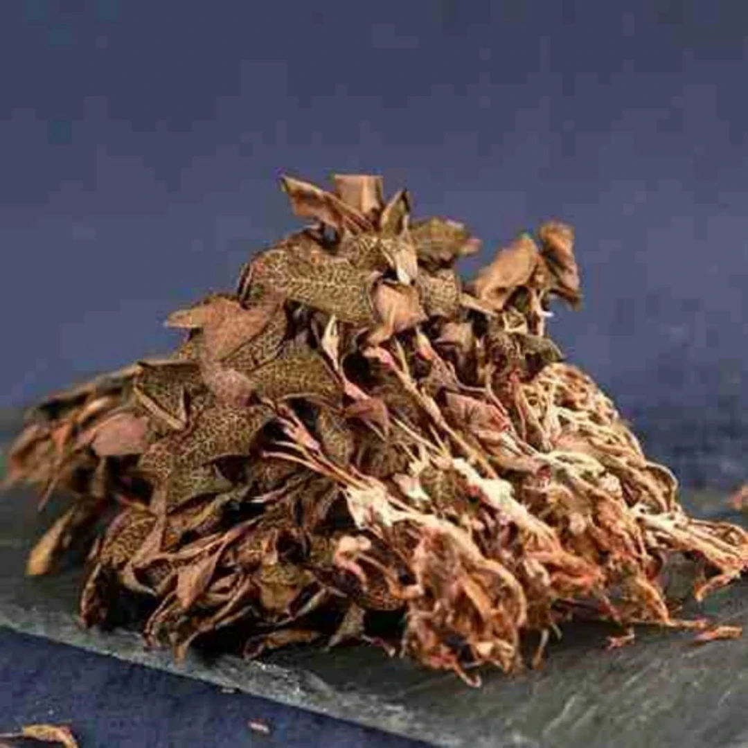 【金线连】净含量100g----500g