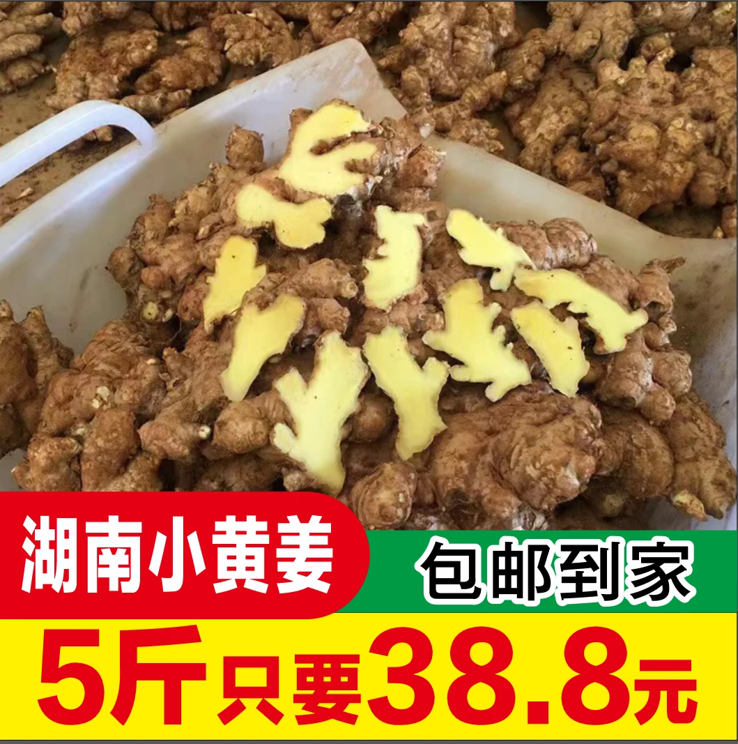 自种湖南小黄姜3-9斤鲜现挖生姜土姜月子姜辛辣十足食用蔬菜整箱
