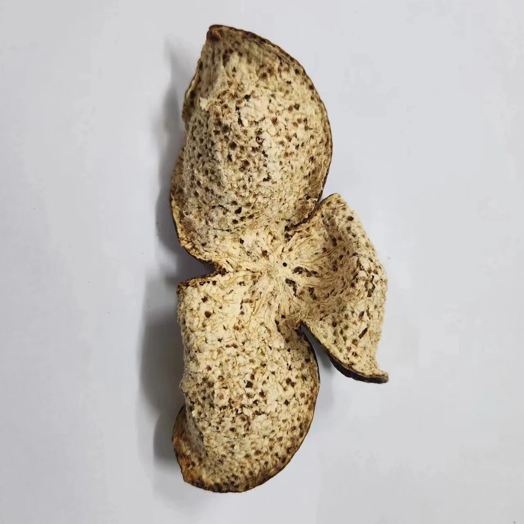 柑源匯2019年天马圈枝大红皮新会陈皮