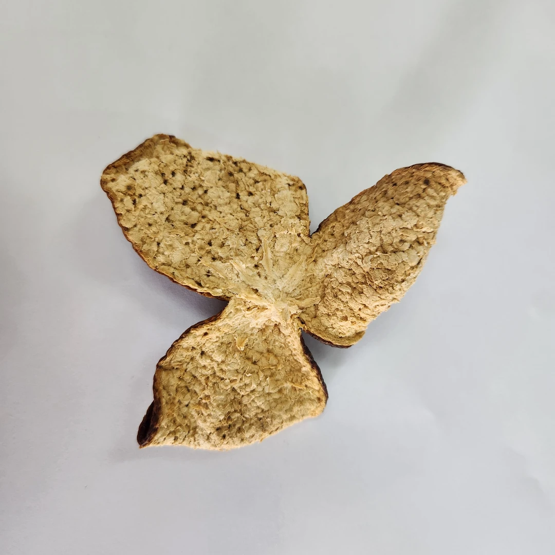 柑源匯2021年天马元旦大红皮新会陈皮500克袋装