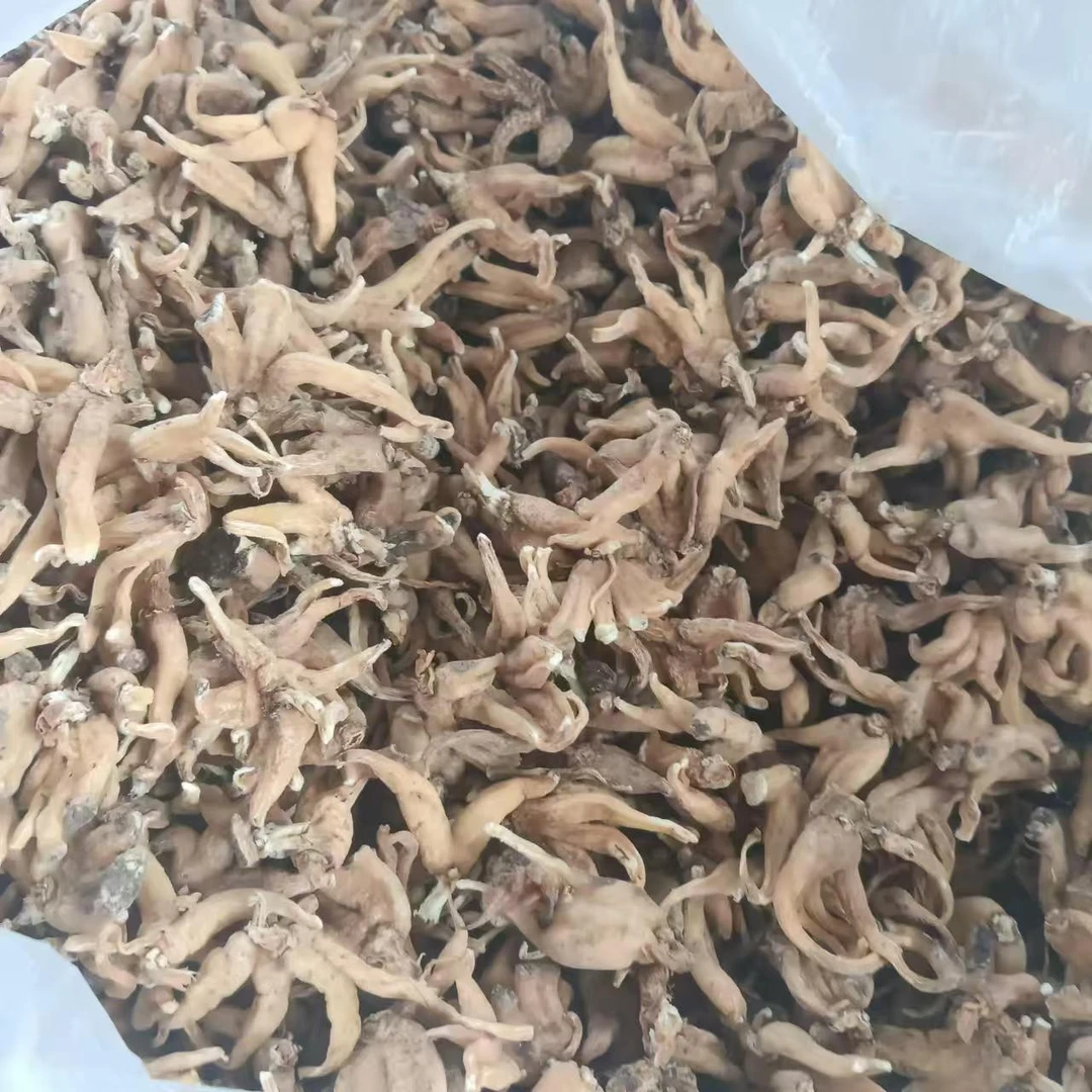 云南山货推荐【佛手参】赶集干货