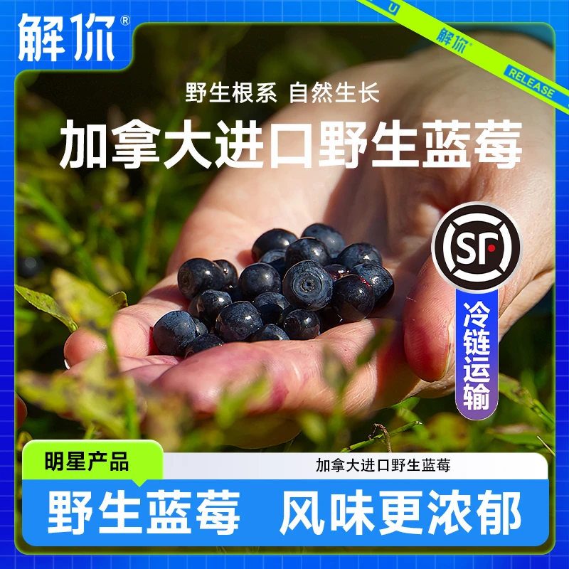 【粉丝专享】解你北美野生蓝莓冷链包邮新鲜野生小蓝莓原生态浓郁