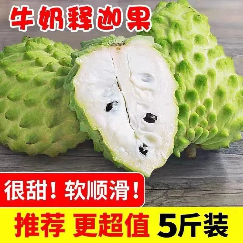云南高原凤梨释迦果新鲜大果纯甜释迦摩尼果当季新鲜3斤5斤整箱包