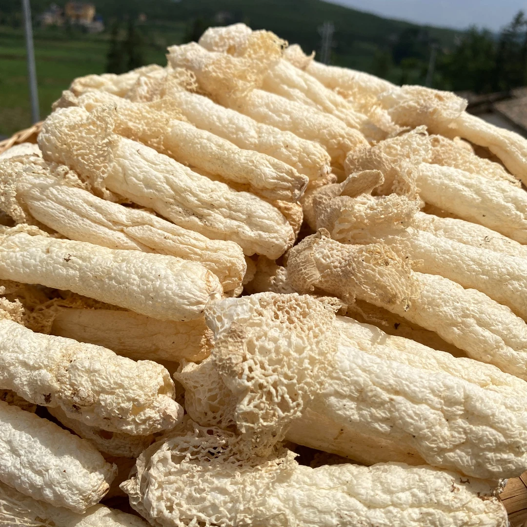 2024山货竹荪精选干货红托竹荪100g/200g无熏硫食用菌自然农产品