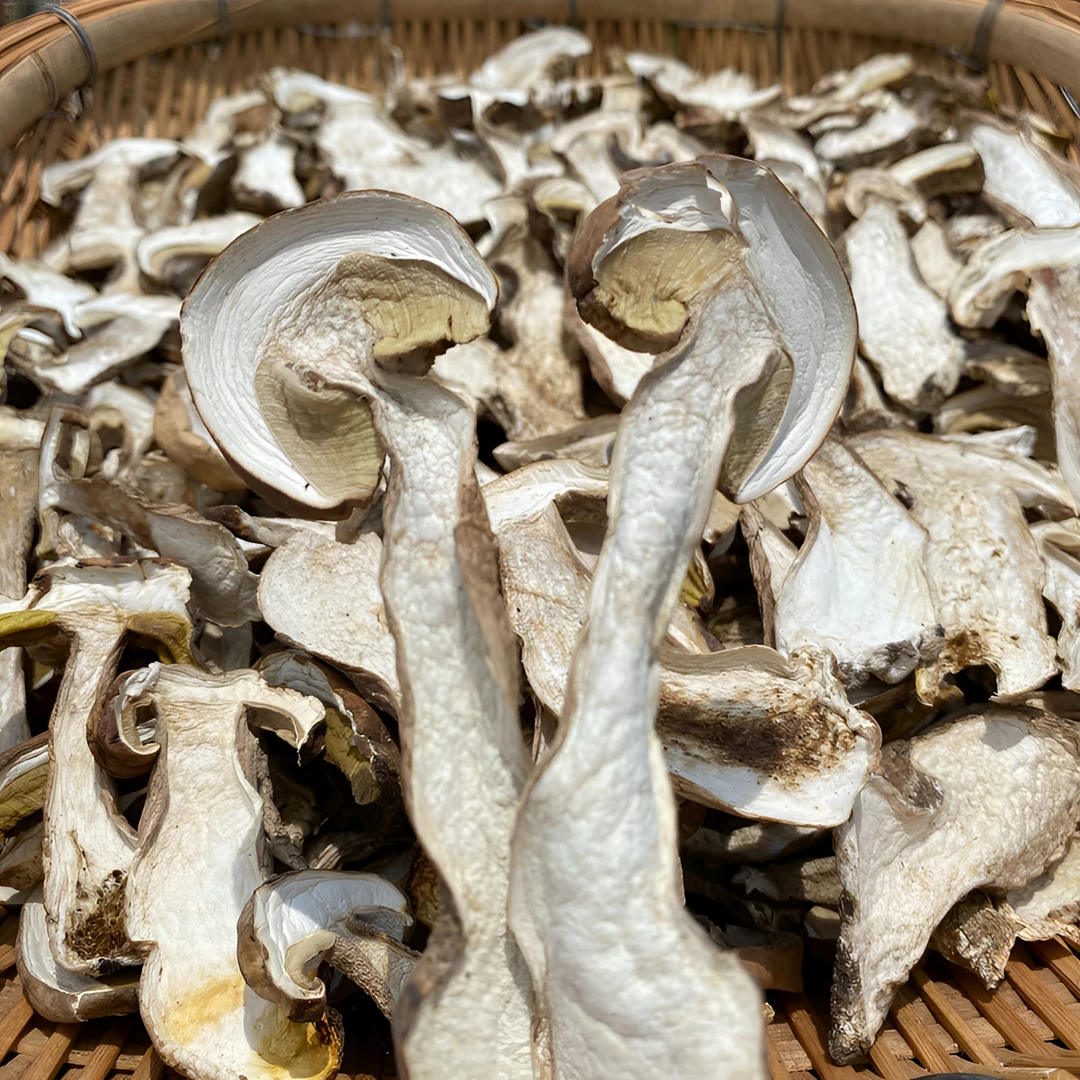 2024新货美味牛肝菌白牛肝菌精选嫩片白大脚菇食用菌煲汤爆炒250g