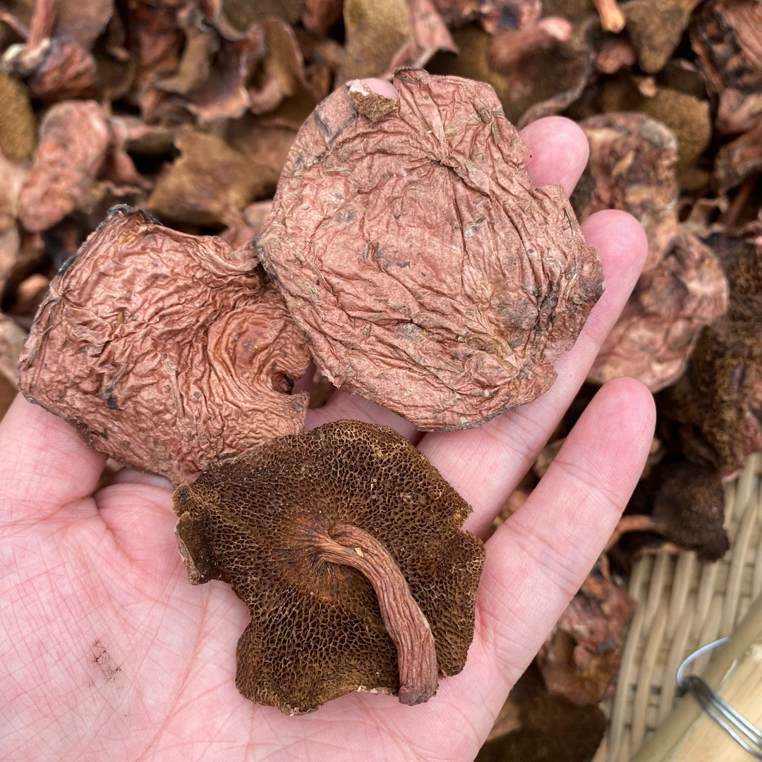 红乳牛肝菌松菌干菌60g滑嫩新货鲜美嫩脆香云南高原特产食用自然