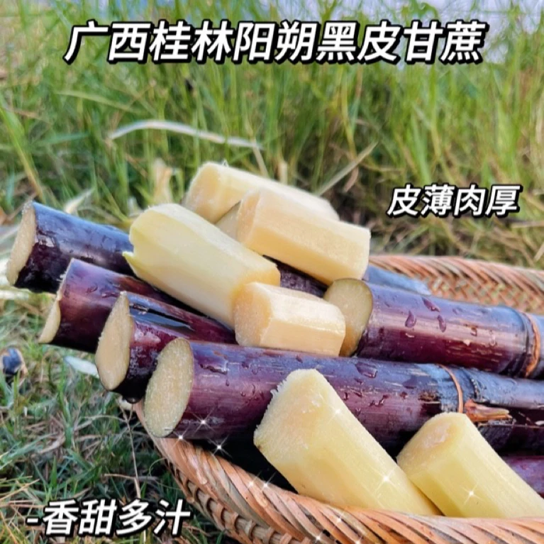 水果甘蔗-桂林阳朔糖心黑皮甘蔗 蜜甜多汁 脆而不硬 松软爽口