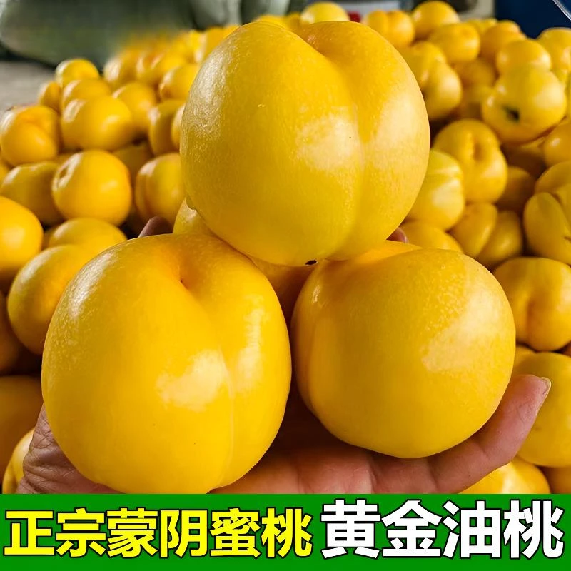 蒙阴蜜桃黄油桃芒果甜蜜孕妇水果黄桃头茬新鲜山东蒙阴黄桃3