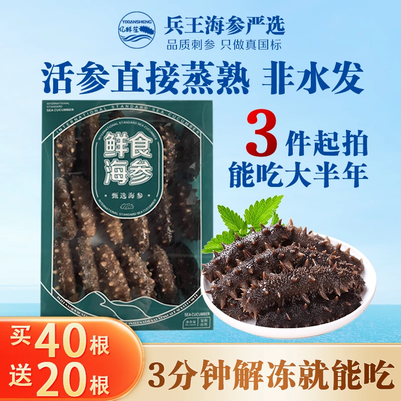 【鲜蒸低压锁鲜工艺】底播刺参买40根送20根抢先福利活动抓紧囤货！