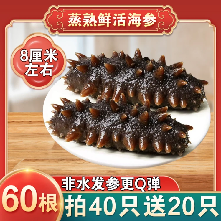 588鲜蒸即食海参辽品质底播辽刺参顺丰包邮保底3斤（参3）