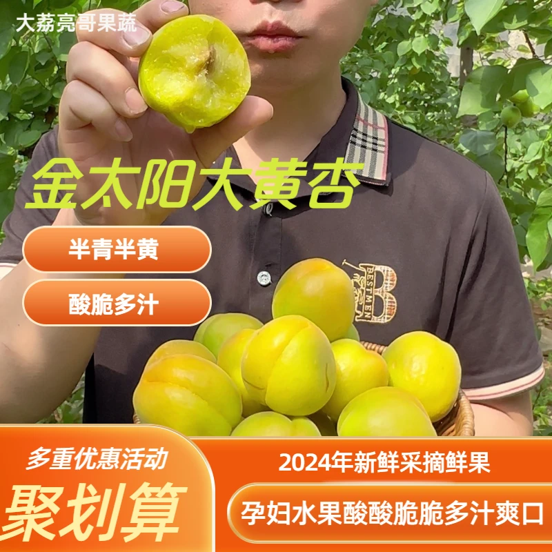 新鲜微黄酸杏子鲜果发新疆果香口感酸脆多汁食用酸脆产地发货水果
