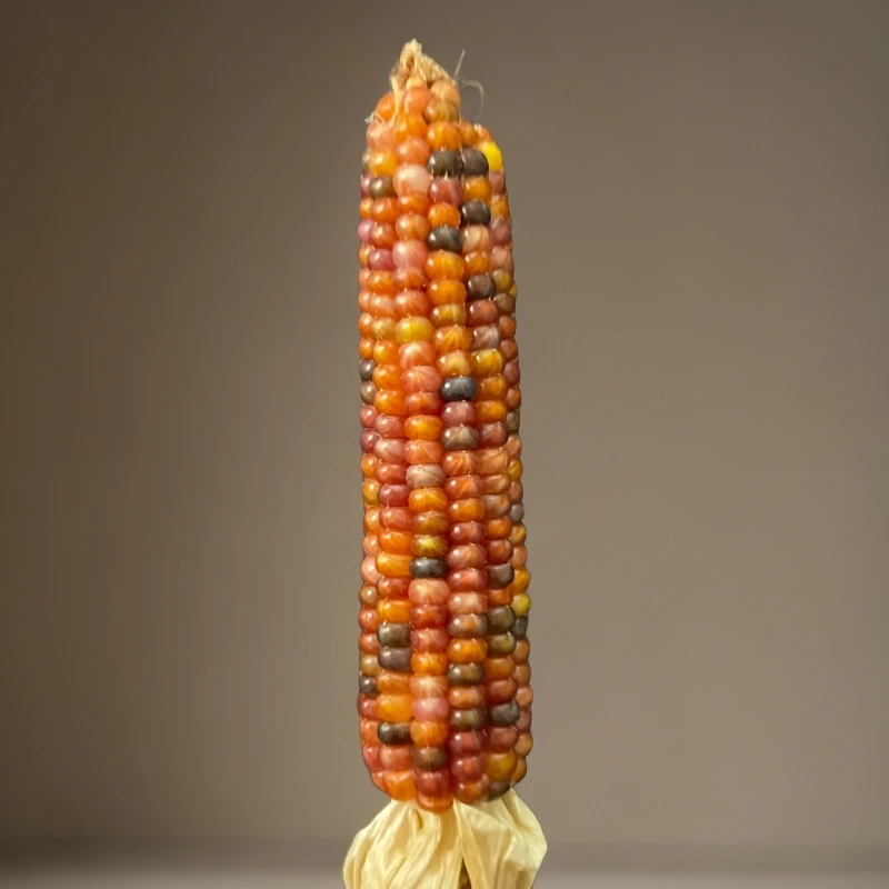 文玩小玉米神器小型把件