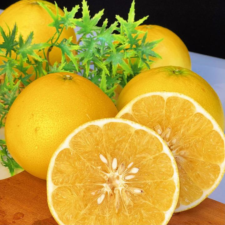 福建黄金爆汁葡萄柚新鲜时令水果整箱发货（送榨汁器）