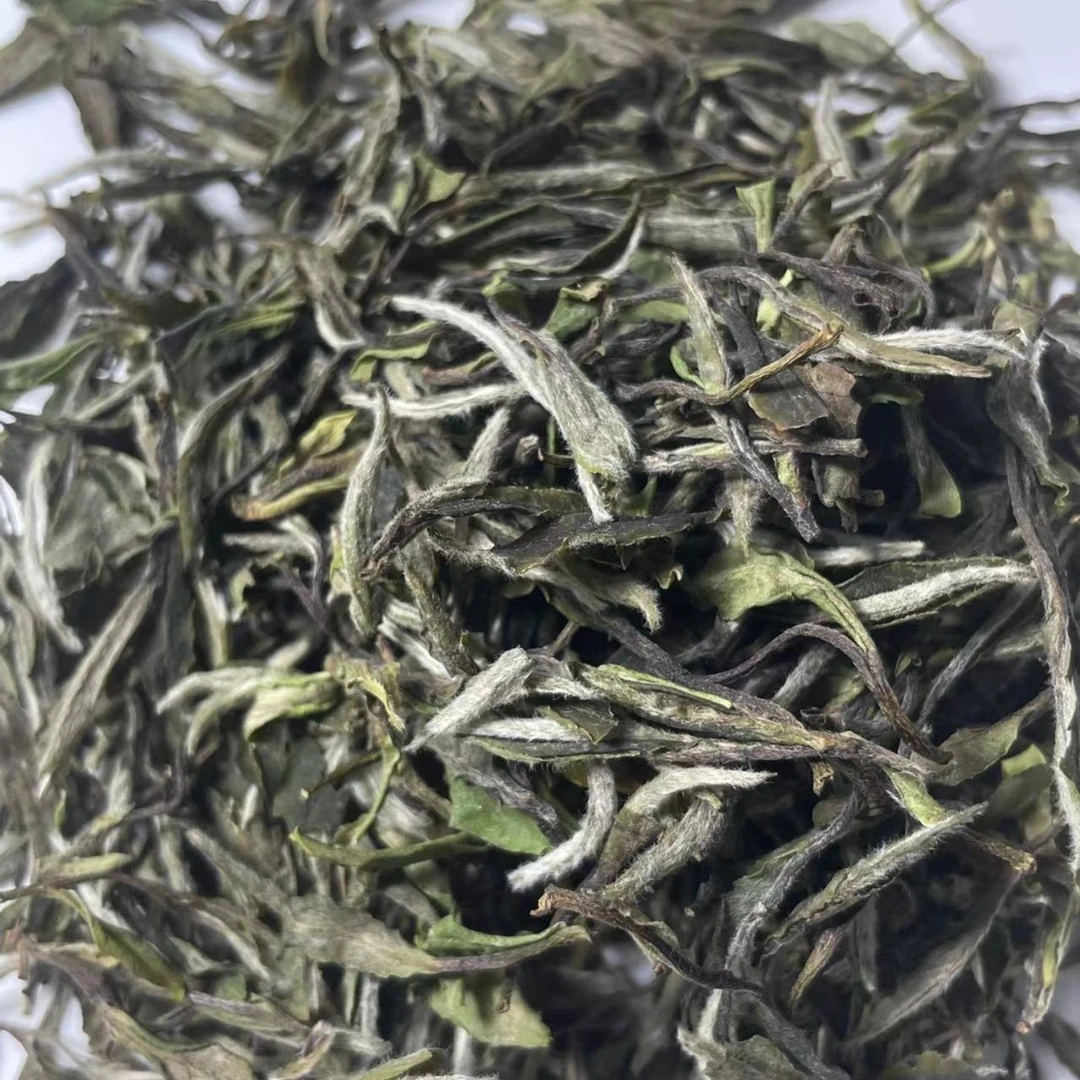 非遗传承人叶文梁/建阳小白茶/2023牡丹王/0309