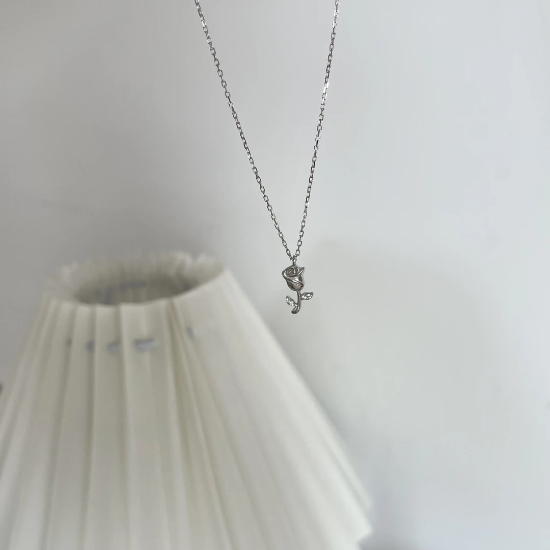 坠链均925银合成锆石 小众韩ins时尚百搭气质简约  荆棘与玫瑰