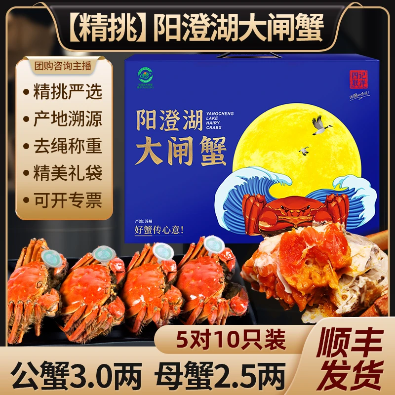 【活蟹】阳澄湖大闸蟹 公3.0两母2.5两5对10只礼盒装 四记联洋塘养