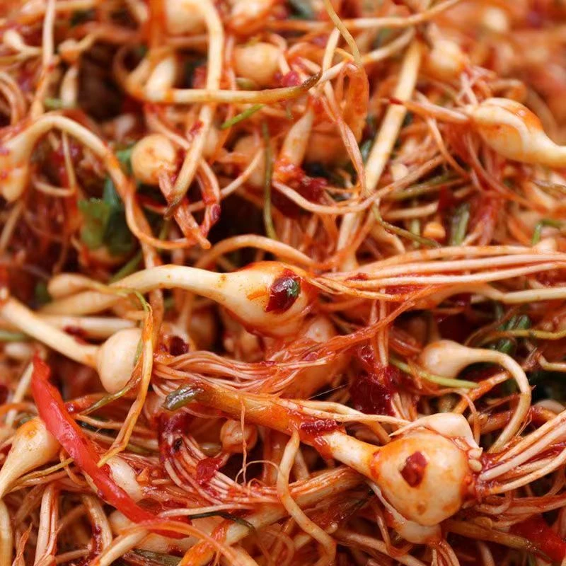 （半斤一袋）小根蒜泡菜 延边朝族风味泡菜 东北特色下饭咸菜