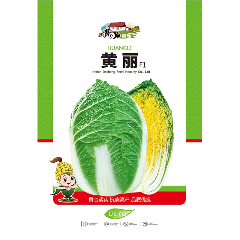 【4.9元龙年抢黄丽白菜种子】 生长快橘黄心白菜品种新一代蔬菜种子