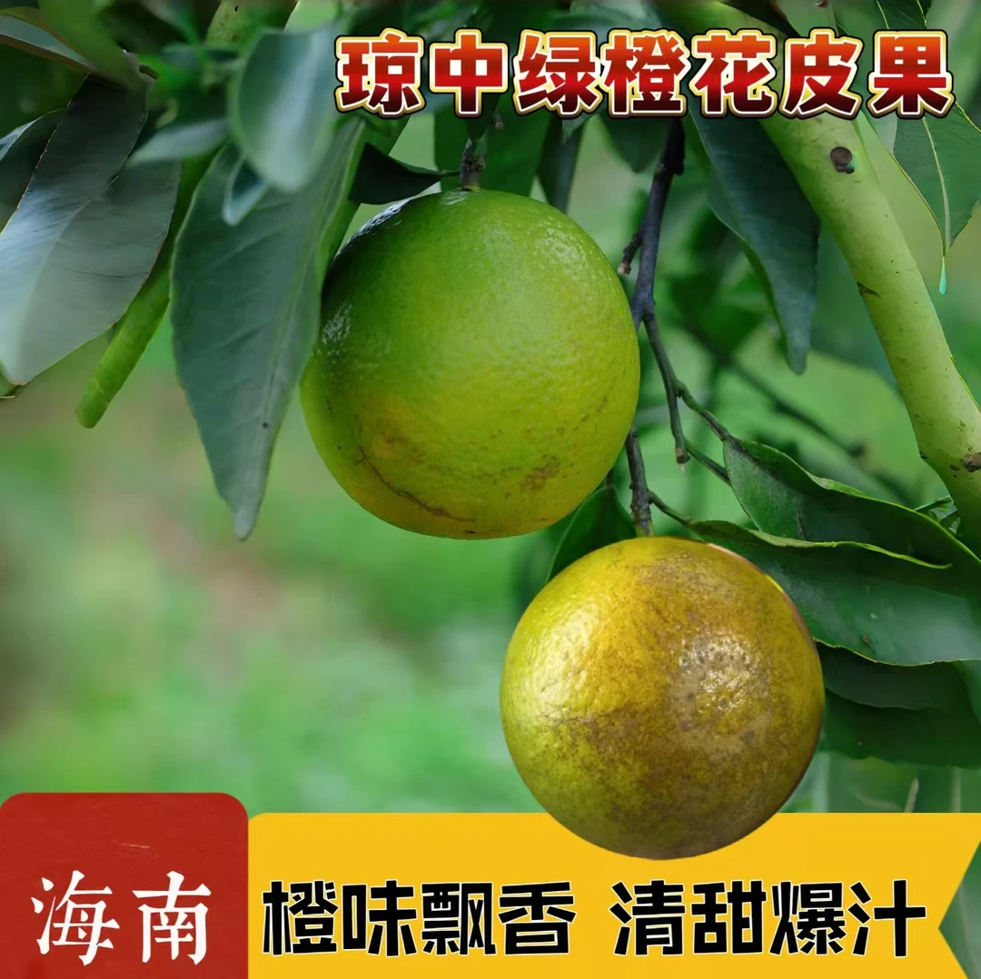 海南正宗琼中绿橙清甜爆汁花皮果当季果园现摘现发5/10斤