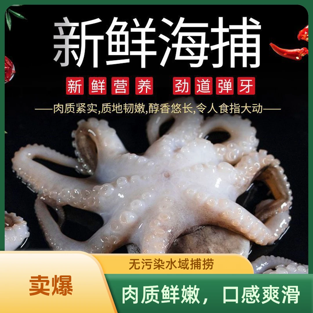 湛江东里天然野生八爪鱼特产新鲜活冻八爪鱼送礼佳品渔船捕捞