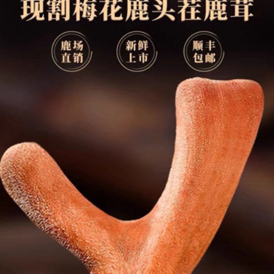 鲜鹿茸 产地发货直播选购