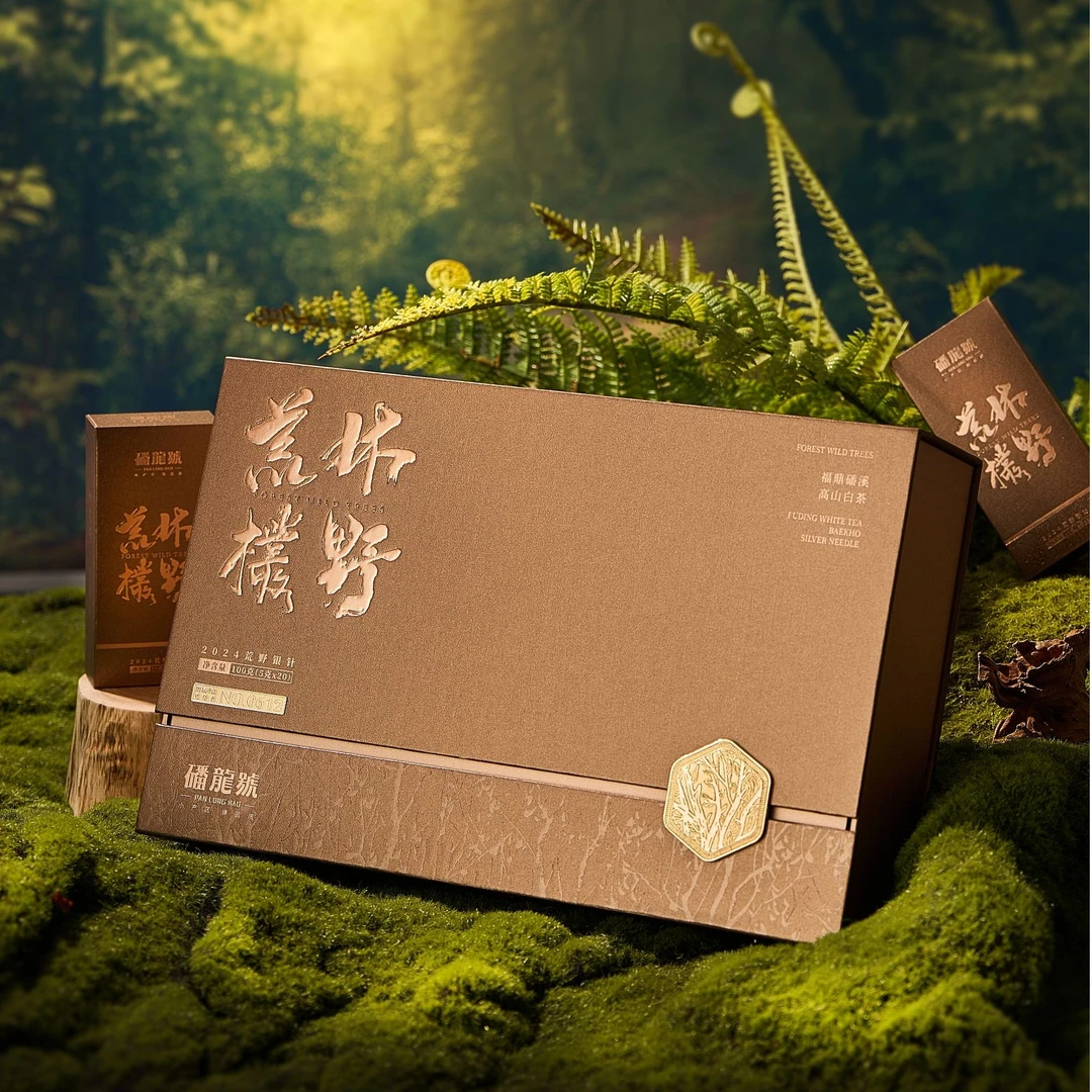 福鼎白茶|磻龙号|林野荒枞|2024年荒野白毫银针|盒装100克