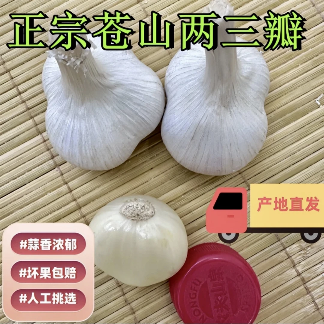 【新干蒜】苍山二三四瓣大蒜2024年山东苍山新干蒜瓣大饱满