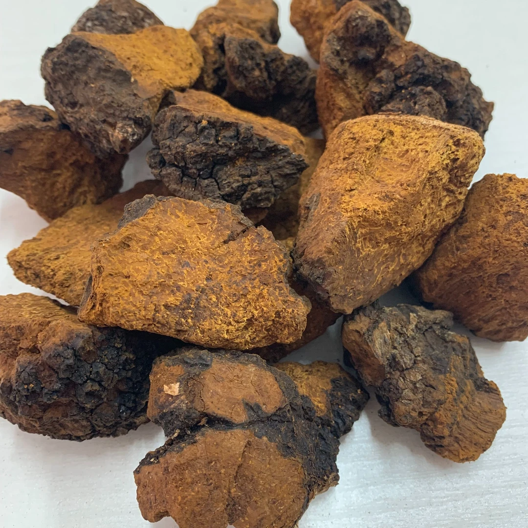 长白山产地优选白桦树茸块250g