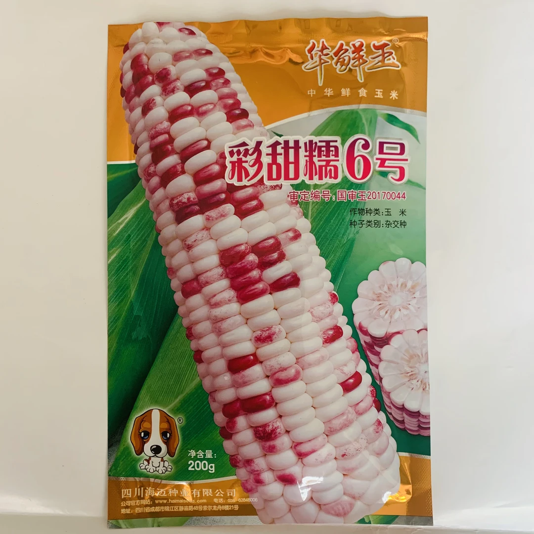 彩甜糯6号甜糯玉米种子籽大棒型甜糯Q弹春秋农家田园播种玉米种