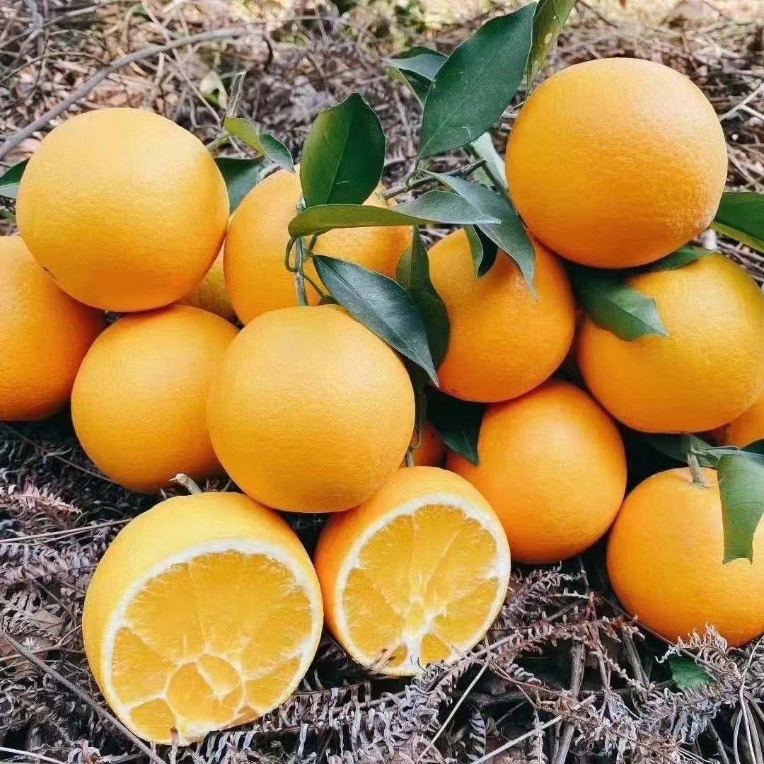 【牛哥宠粉专场】正宗赣南脐橙江西橙子现摘现发新鲜橙果园直供包邮