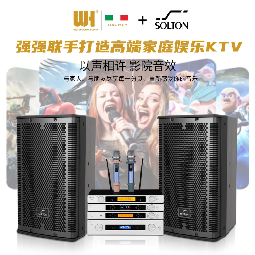 WH K歌音响套装 SOLTON联名家庭K歌套装专业音响K歌会议（10寸）