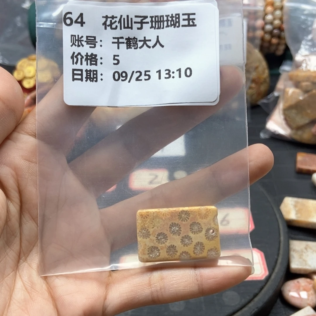 硅化珊瑚（珊瑚玉）牌未镶嵌千**人64
