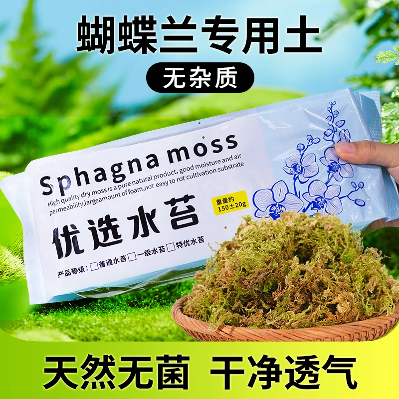 优质包装干苔藓青苔蝴蝶兰花专用水苔营养土育苗乌龟冬眠垫材透气