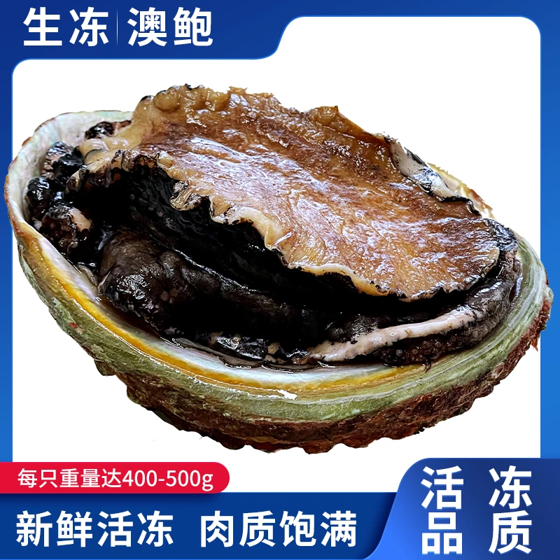 澳洲鲍鱼/野生大鲍鱼鲜活冷冻新鲜海捕1-2斤肉厚口感鲜嫩饱满美味