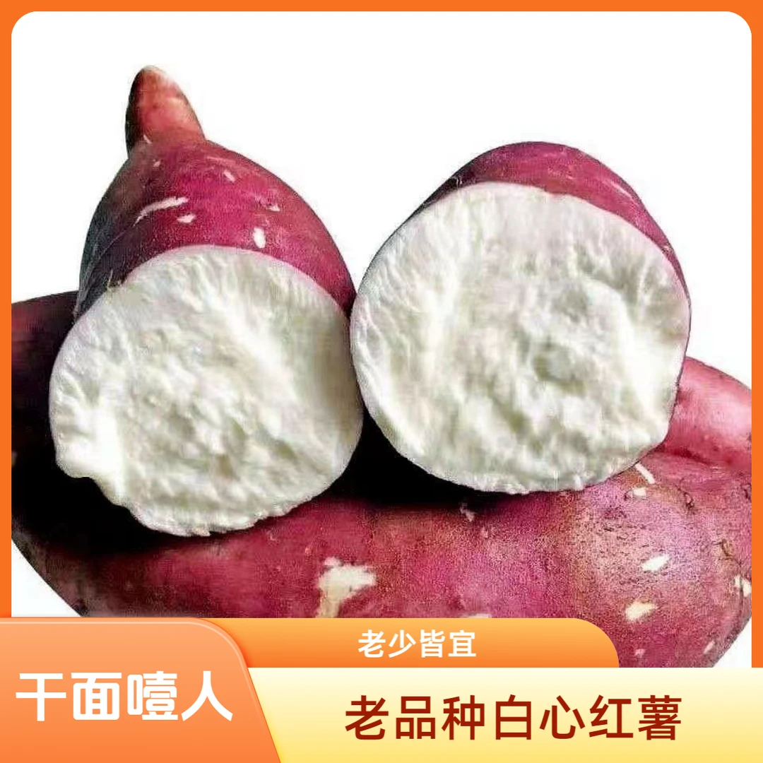 河南本地白心红薯粉面甘甜吃慢点有点噎皮薄老少皆宜干面小时候的