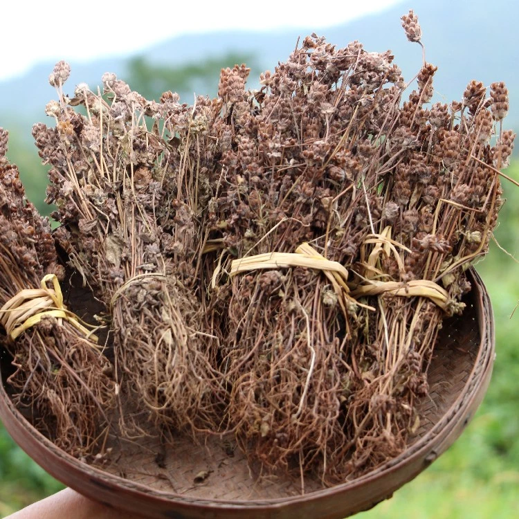 新货夏枯草夏菇夏姑草夏枯球夏谷草150g正宗夏枯草田基黄