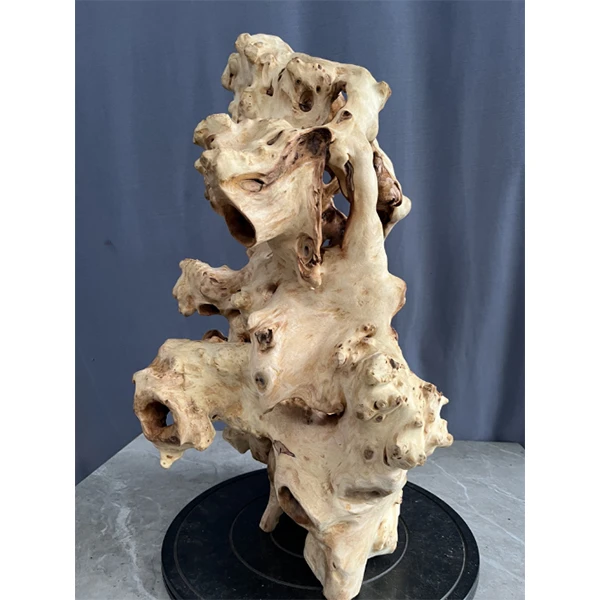 红杉木根雕 高63×43台面28×14厚度32   【具体以直播间为准】