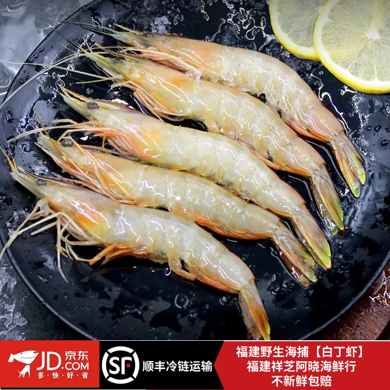 福建船捕【白丁虾】纯野生纯海捕白丁虾明虾对虾顺丰京东到家