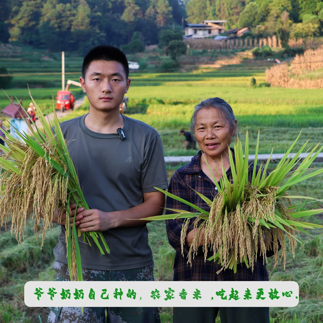 【新米2024】本村野香优香米农家种植5斤大米自产