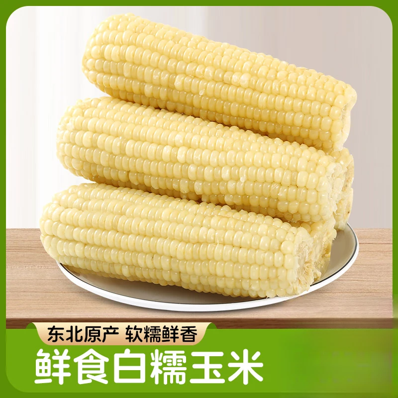 白玉米香甜糯粘新鲜8支（每支250g）