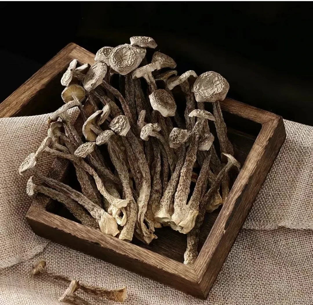 【现收土特产】下山鹿茸菇