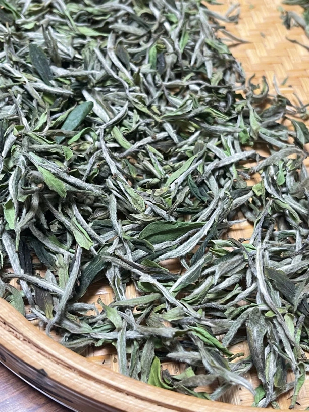 2023年白牡丹福鼎白茶花香牡丹荒野白牡丹管阳茶叶正宗茶叶散装